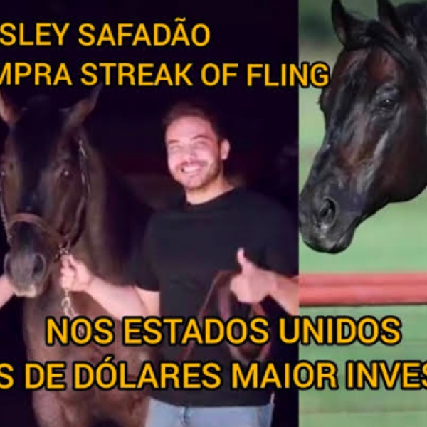 DIEGO OF FLING  / GENÉTICA DE VAQUEJADA 