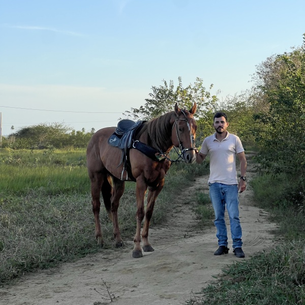 🐴CORONEL HAIL JHD 