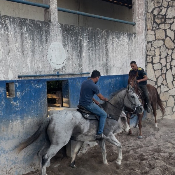 🐴CORONEL HAIL JHD 