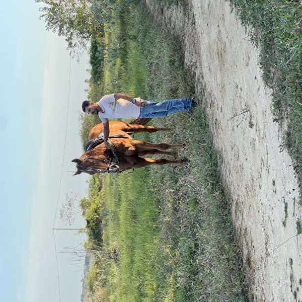 🐴CORONEL HAIL JHD