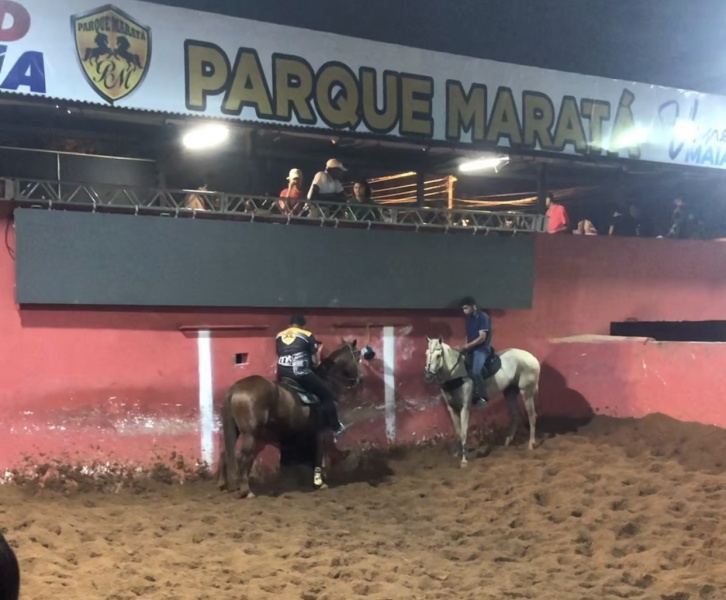 Pareia de cavalo correndo 